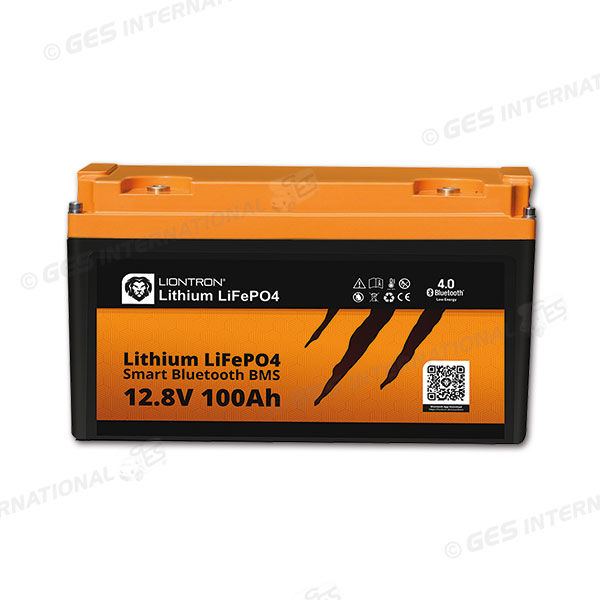 Batteria Liontron 100 Ah con BMS