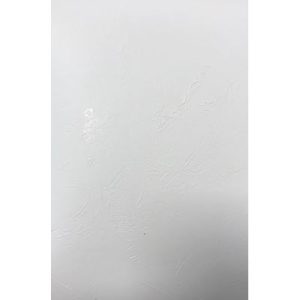 Compensato Nobilitato Su Un Lato Stuccato