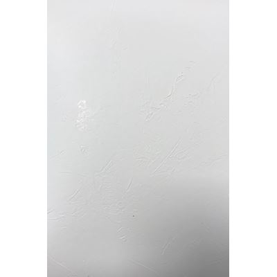 Compensato Nobilitato Su Un Lato Stuccato