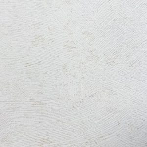 Compensato Nobilitato Su Un Lato Scretch