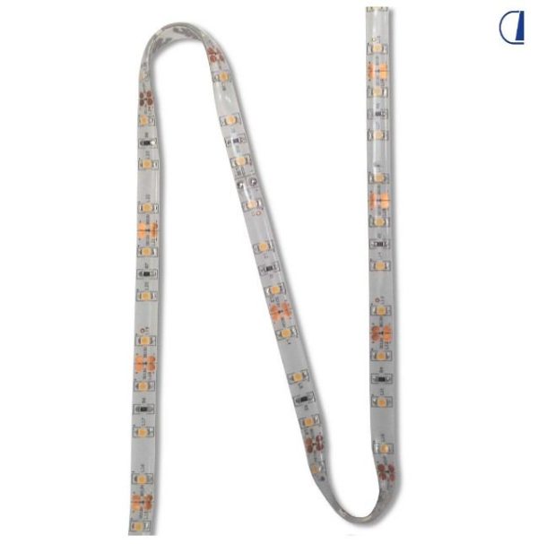 LED FLEX DA ESTERNI IP 67 5 METRI 6000K LUCE FREDDA