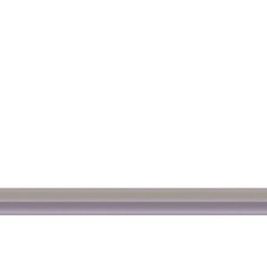 Kit Binario Thule E-Bike Rail