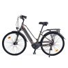 Trekking e-Bike Legnano TERRA LADY Dark Grey Size 44