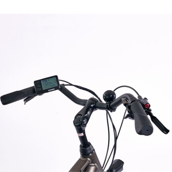 Trekking e-Bike Legnano TERRA LADY Dark Grey Size 44