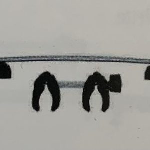 f6365cd7-5ed5-4520-a30f-3487321a4c38.jpg Canalina Adapter per Velospace XT