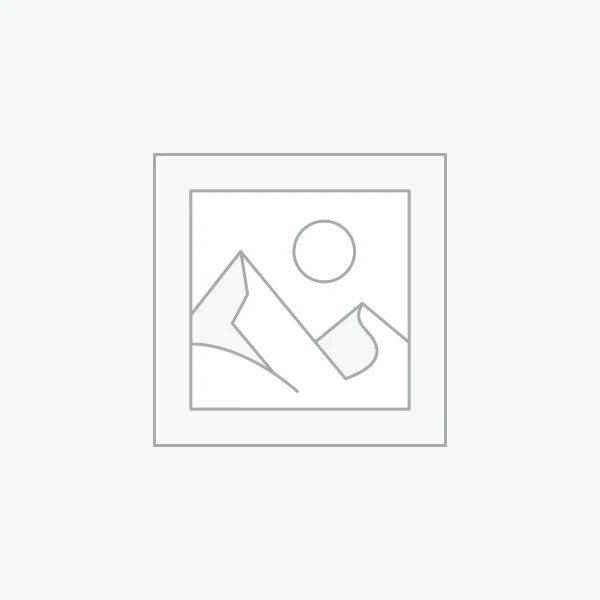 Adattatore Palo di Fissaggio Portamoto Goldschmitt